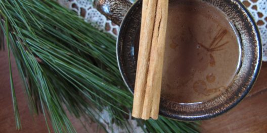 chaga-cocoa-from-the-top